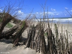 foto Dünen 7