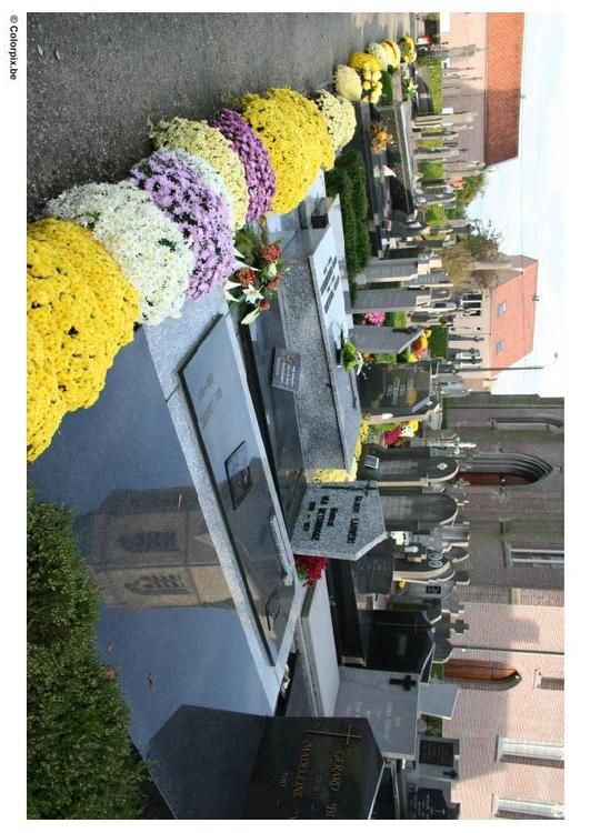 Friedhof