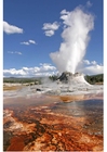 Geiserausbruch, Yellowstone National Park, Wyoming, USA