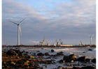 Fotos Hafen mit Windmühlen