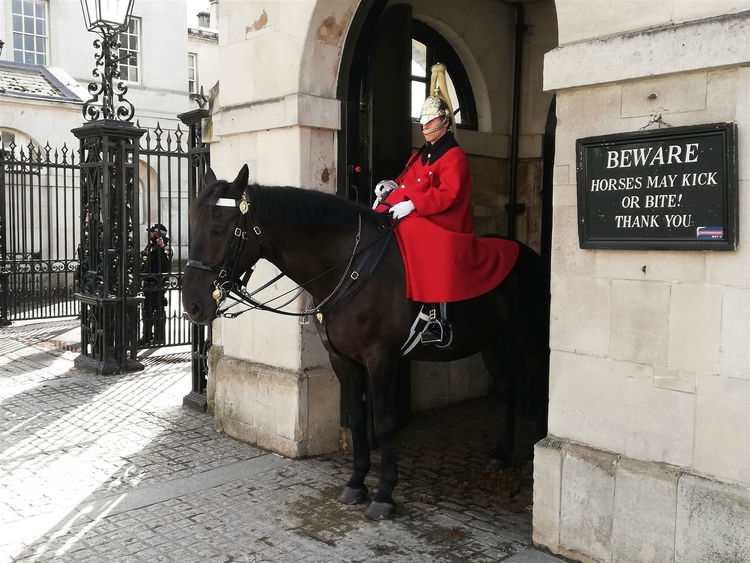 Foto Haushaltskavallerie London