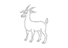 Malvorlage hirsch
