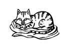Malvorlage katze