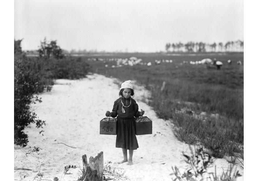 Foto Kinderarbeit, 1910