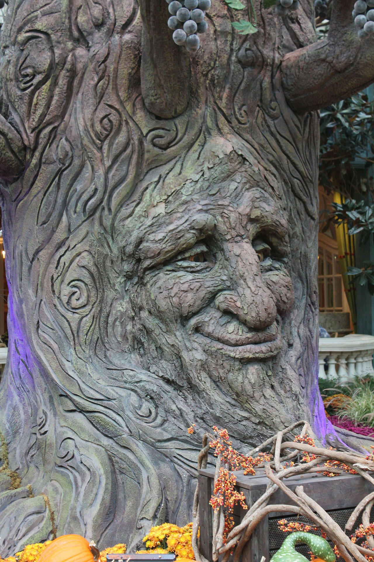 Foto Märchenbaum Kostenlose Fotos Zum Ausdrucken Bild