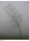 Fotos Nebel