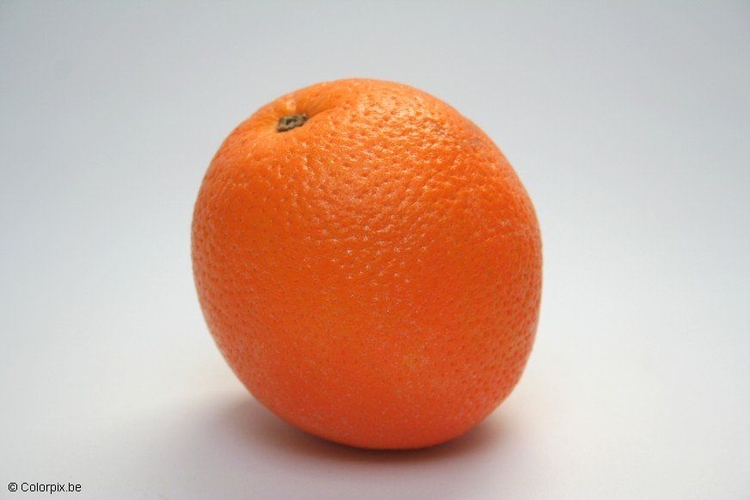Foto Orange 1