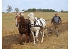 Foto pflÃ¼gender Landwirt