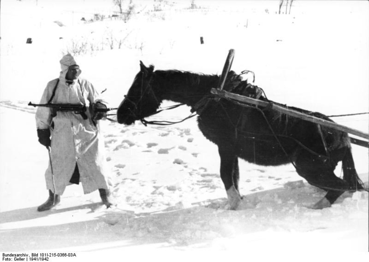 Foto Russland - Soldat mit Pferd im Winter