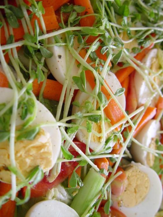Salat