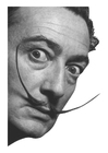 Fotos Salvador Dali