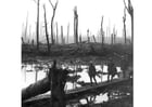 Fotos Schlachtfeld 1. Weltkrieg