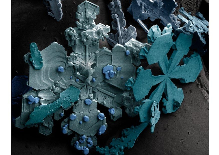 Foto Schneekristalle unter dem Mikroskop