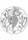 Malvorlage seepferdchen