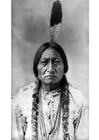 Fotos Sitting Bull