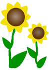 Bild sonnenblumen