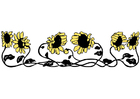 Bild sonnenblumen