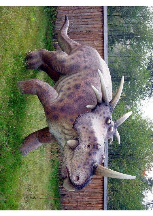 Styracosaurus Kopie