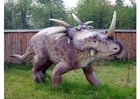 Styracosaurus Kopie