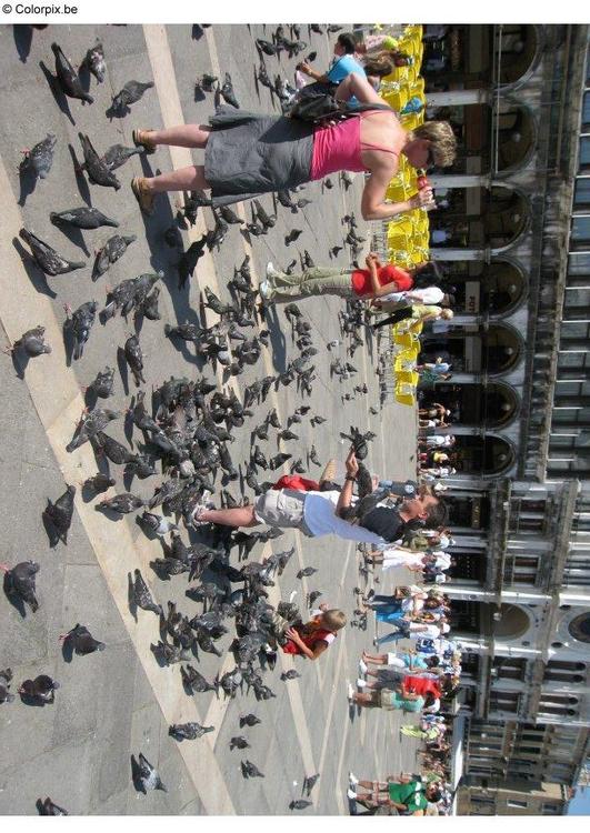 Tauben fÃ¼ttern auf dem San Marco Platz, Venedig