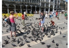 Foto Tauben fÃ¼ttern auf dem San Marco Platz, Venedig