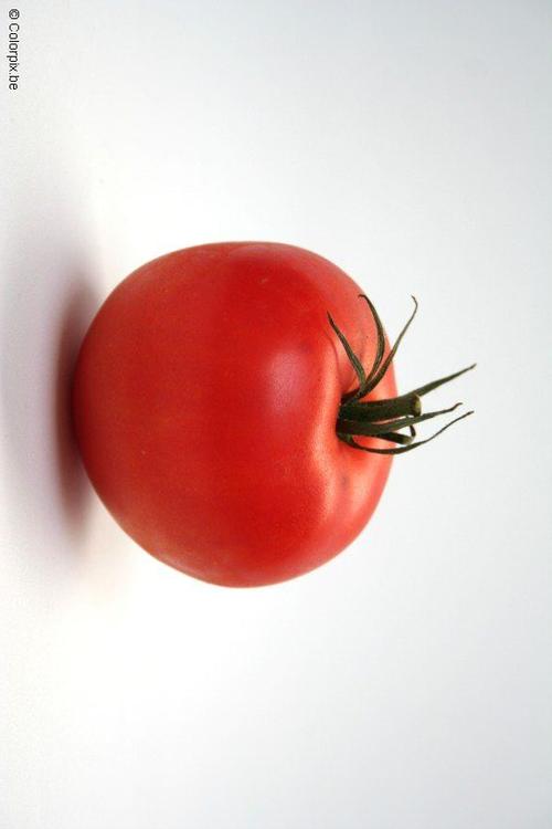 Tomate