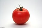 Tomate