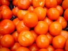 Foto Tomaten