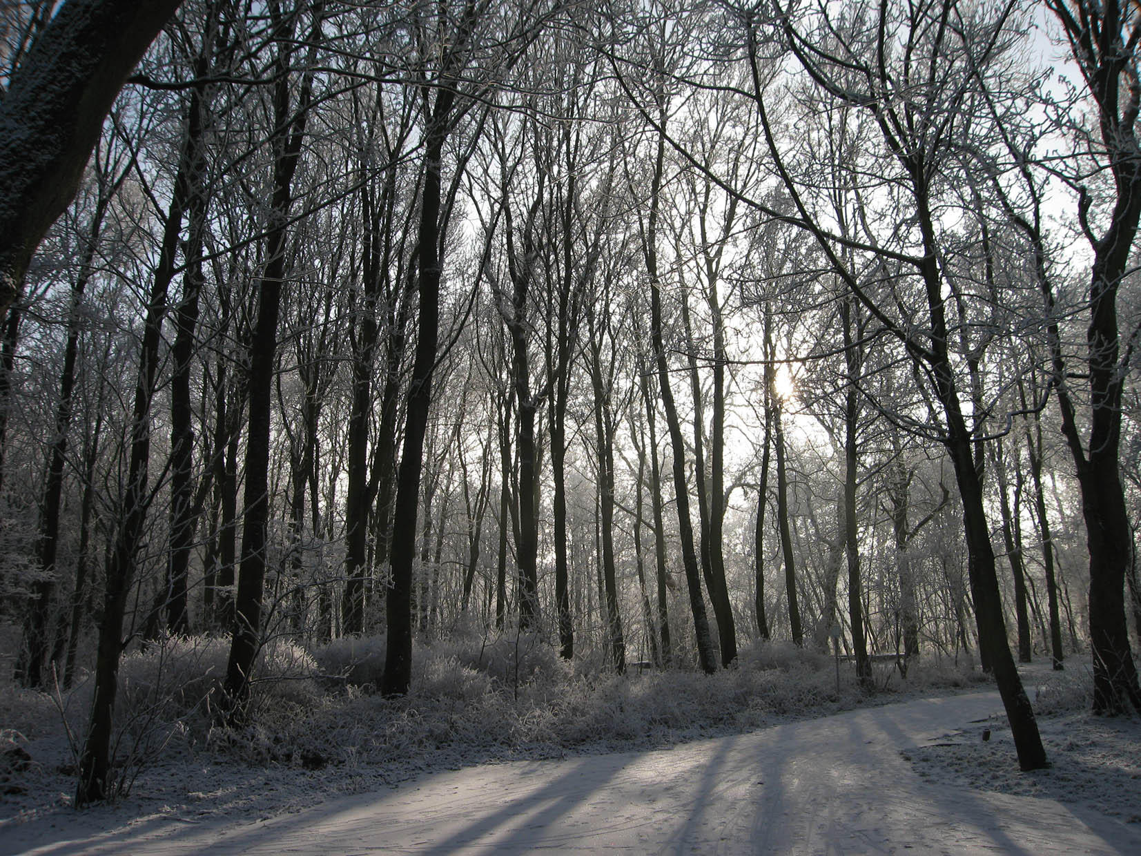 Foto Winter