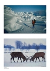 Winter 3