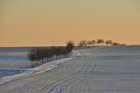 Foto Winterszene