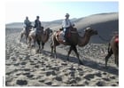 Fotos Wüstentour auf Kamelen
