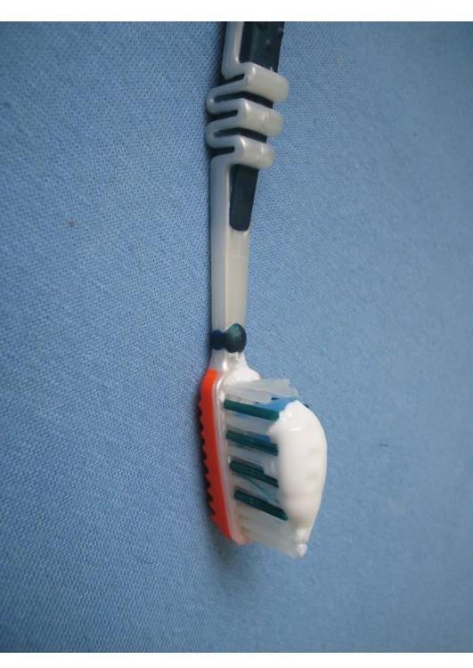 Zahnburste mit Zahncreme