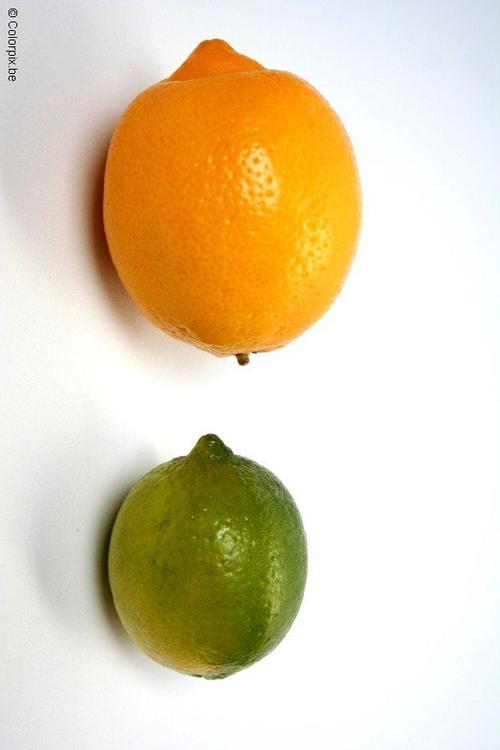 Zitrone und Limone