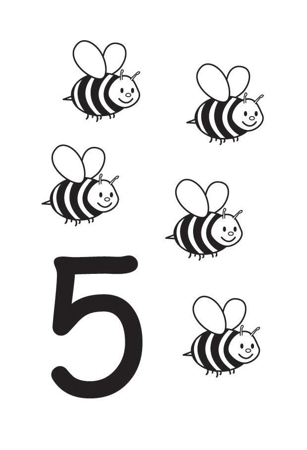 5 Malvorlage 5