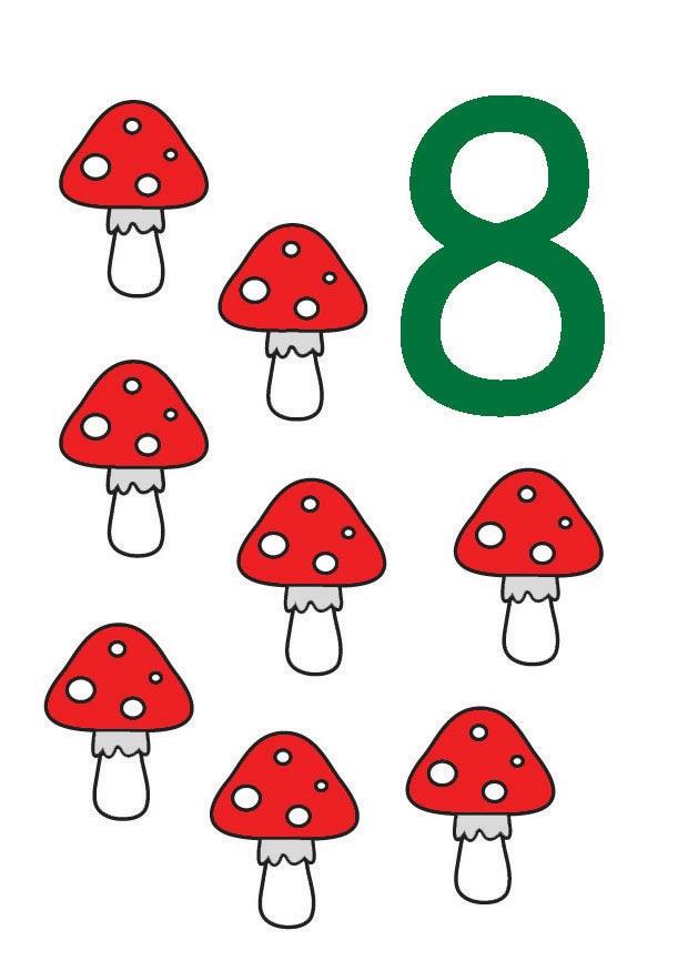 8 Bild 8