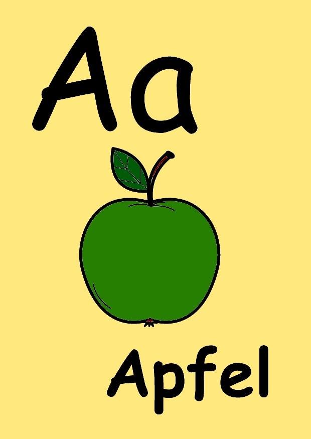a Bild a