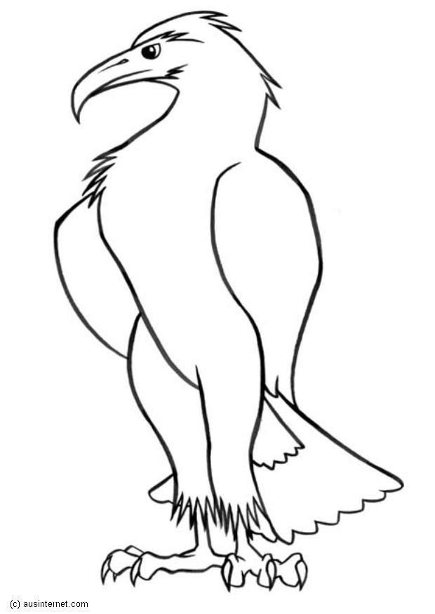 adler Malvorlage adler