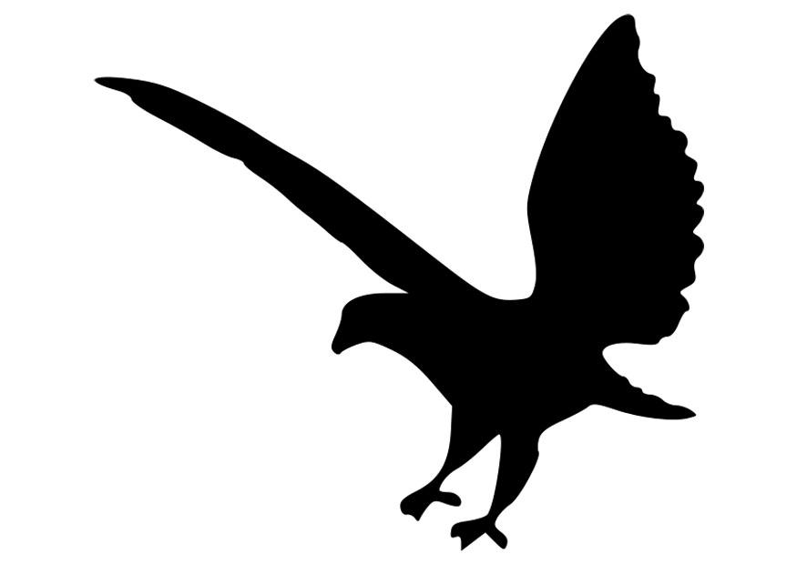 adler silhuette Malvorlage adler silhuette