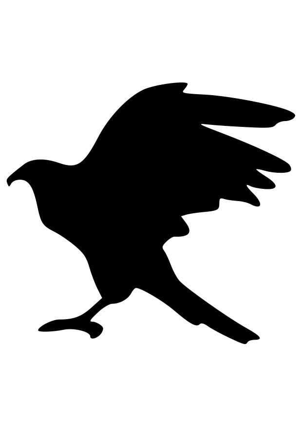 adler silhuette Malvorlage adler silhuette