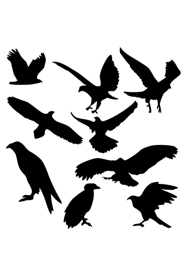 adlersilhouetten Malvorlage adlersilhouetten