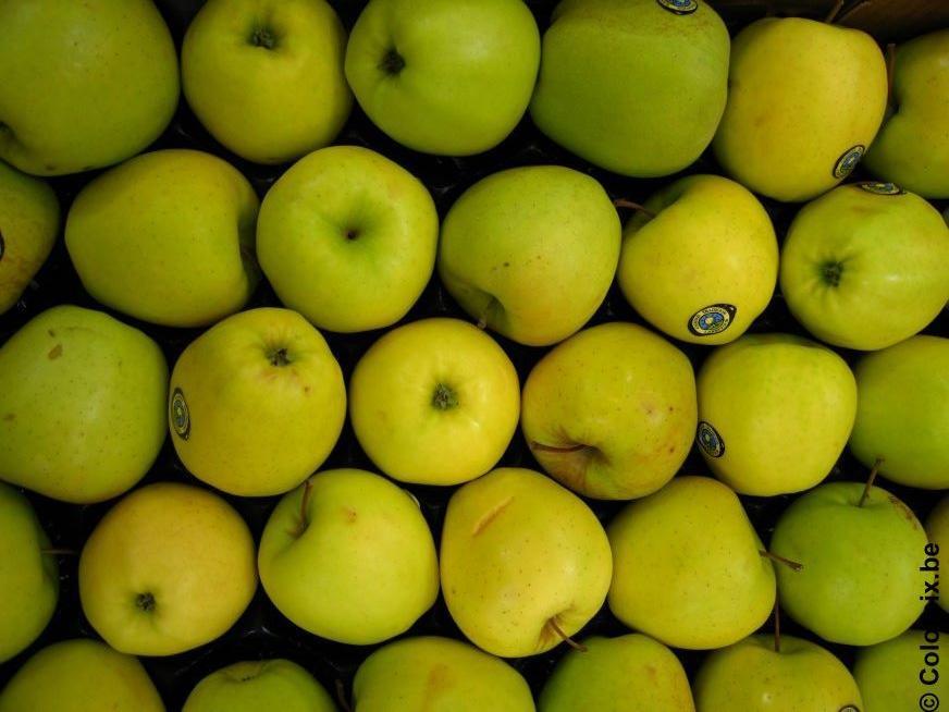 Apfel Foto Apfel