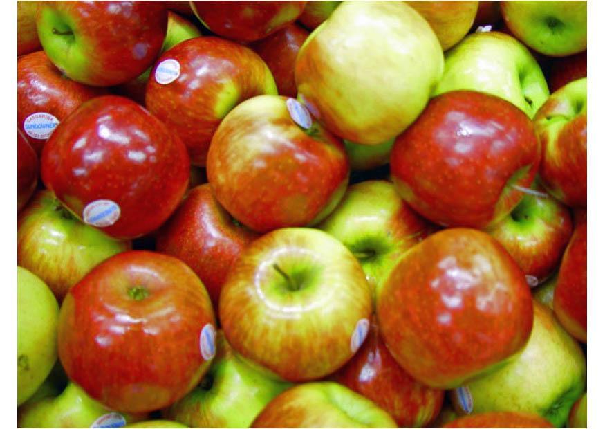 Apfel Foto Apfel
