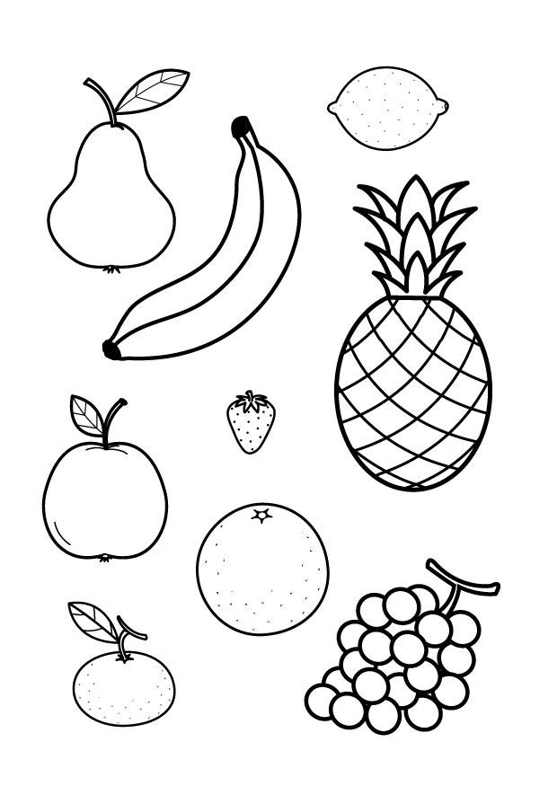 alle obstsorten Malvorlage alle obstsorten