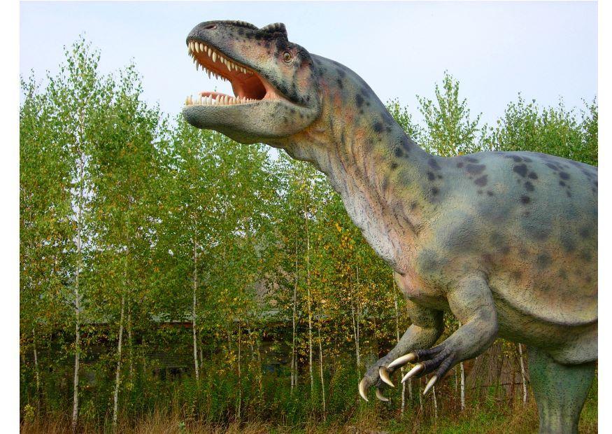 allosaurus kopie Foto allosaurus kopie