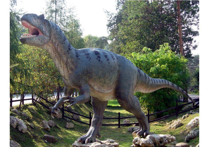 allosaurus kopie Foto allosaurus kopie