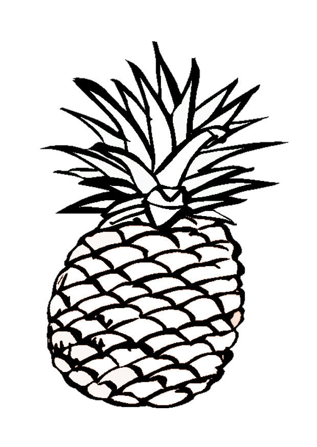ananas Malvorlage ananas