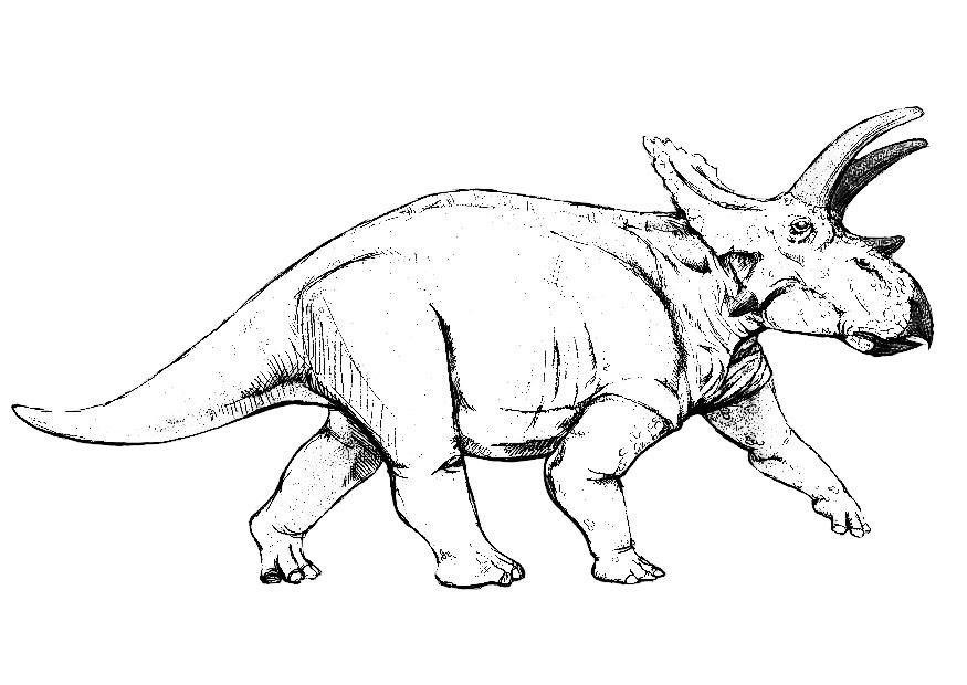 anchiceratops dinosaurus Malvorlage anchiceratops dinosaurus