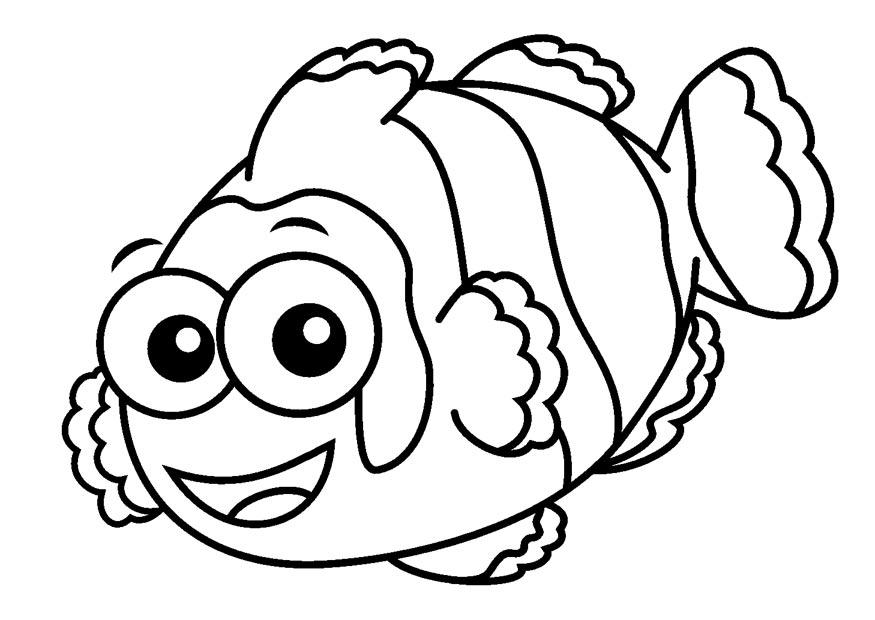 anemonenfisch Malvorlage anemonenfisch