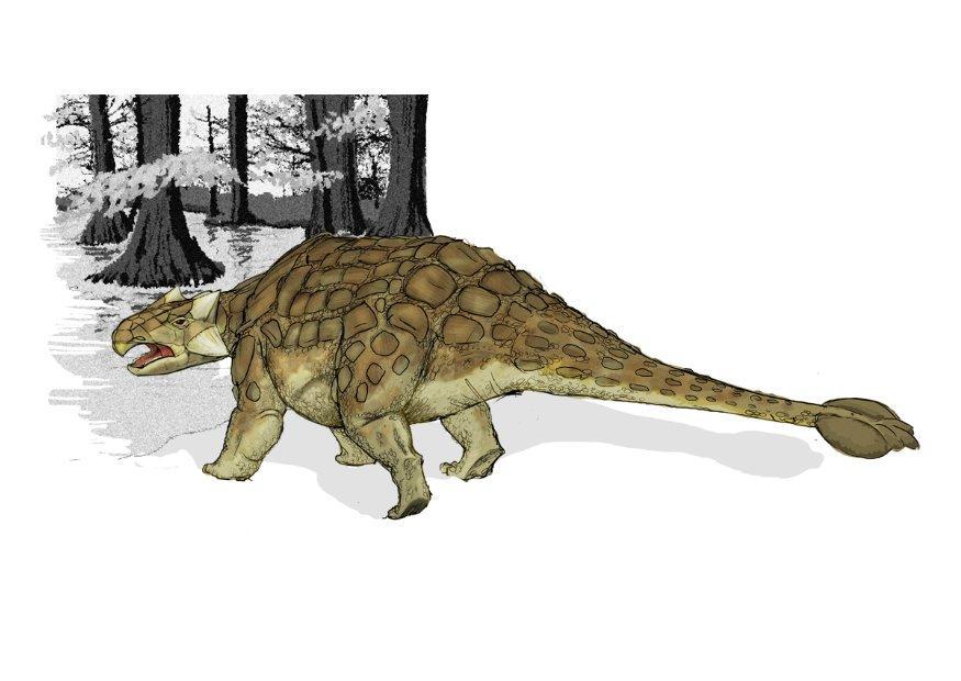 ankylosaurier dinosaurier Bild ankylosaurier dinosaurier
